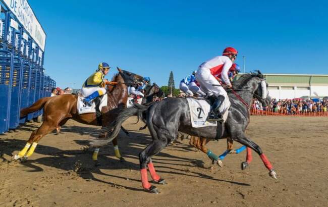 corrida de cavalo aposta