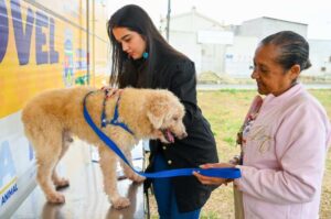 Conquista: PMVC aprova lei que reconhece cães e gatos como seres que possuem percepções conscientes