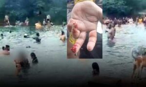 VÍDEO: Banhistas sofrem ataque de piranhas no Rio Catolé, que nasce em Barra do Choça. Assista