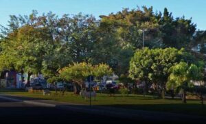 PMVC lança projeto “Conquista Mais Verde” nesta sexta-feira. Ação faz parte do Plano de Governo
