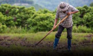 Valorização do homem do campo: Câmara de Vitória da Conquista analisa projeto que institui “Semana Mãos no Arado”