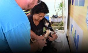 Conquista: Em Cabeceira do Jiboia, Castramóvel realizou procedimento em cães e gatos neste sábado