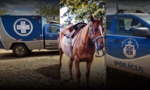 Sudoeste: Idoso foi encontrado morto ao lado de cavalo, na manhã desta sexta-feira, em Mirante