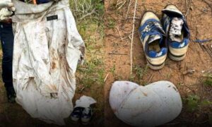 Atenção: Ossada é encontrada nesta terça-feira às margens da BR-116. Roupas podem ajudar a identificar a vítima
