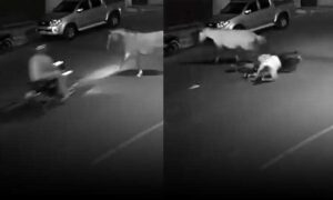 VÍDEO: Cavalo escapa de grupo, atinge e derruba motoqueiro nesta noite, na região de Conquista. Veja as imagens
