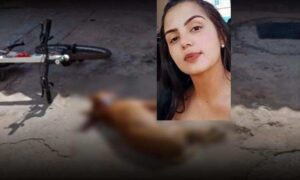 Horror: Cão da raça pitbull é morto a facadas e pauladas após matar a dona com mordida no pescoço, neste domingo