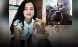 Tragédia que chocou o Brasil: Novas informações sobre a jovem tutora morta pelo próprio cão pitbull, neste domingo