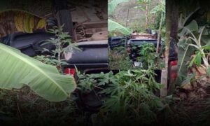 Região: Grave acidente foi registrado neste domingo na BA-270. Veículo sem controle saiu da pista e capotou