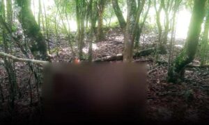 Conquista: Corpo é encontrado às margens da BR-116 em Veredinha, na tarde deste domingo. DPT foi acionado
