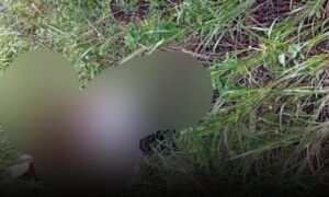 Região de Conquista: Polícia Civil investiga motivo da morte de Reinaldo, encontrado morto em matagal