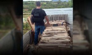 Polícia Civil recupera materiais de construção desviados de loja em Vitória da Conquista. Funcionário e receptadores detidos