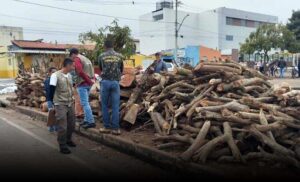 Conquista: Vendedor tem “madeira de fogueira” apreendida na Feira do Rolo, por não comprovar origem do material