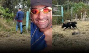 VÍDEO: Cão farejador é utilizado nas buscas pelo servidor municipal Fábio do Deserg, em Vitória da Conquista