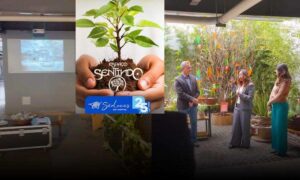 São Lucas Day Hospital inaugura “Espaço Sentindo”, um jardim sensorial que conecta saúde, natureza e filosofia