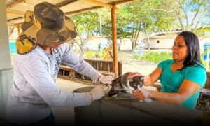 FOTOS: Campanha antirrábica em Vitória da Conquista já vacinou mais de 20 mil animais, informa a PMVC