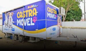 Conquista: Castramóvel atenderá no Centro Glauber Rocha com início do sistema de microchipagem para animais