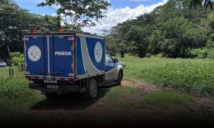 Sudoeste: Caçador sobe em árvore, se desequilibra, cai e morre ao ser perfurado por um galho. Vítima identificada
