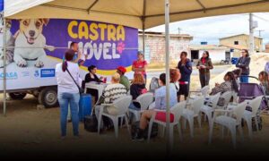 Conquista: Castramóvel ultrapassou, no último sábado, mais de duas mil cirurgias de castração gratuitas em cães e gatos