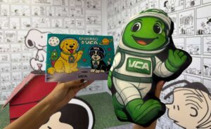 Campanha da VCA Construtora presenteia seguidores e conquista crianças pelo Brasil