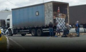 Conquista: Polícia Civil localiza grande quantidade de drogas dentro de caminhão baú na Rio-Bahia. Dois foram presos