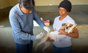Campanha Antirrábica: Mais de 42 mil animais foram vacinados este ano em Vitória da Conquista. Atendimento prossegue