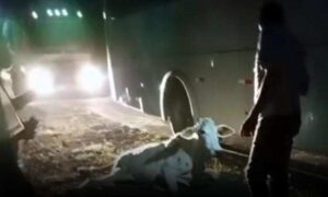 Susto: Trabalhadores de fábrica de calçados passaram por momentos de medo durante acidente nesta noite na BA-263