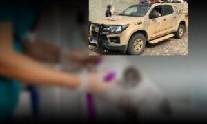 Horror em Conquista: Cadela vítima de maus tratos e zoofilia no Jurema está sob cuidados veterinários. Suspeito está preso