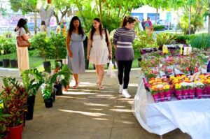 Conquista Florescendo: Feira de Flores de Holambra acontece em Vitória da Conquista até amanhã. FOTOS