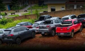 Sudoeste: Operação da Polícia Civil apreende 11 carros roubados e prende 8 participantes do esquema em Livramento
