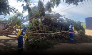 Governo Municipal segue acompanhando situação das chuvas nas zonas urbana e rural de Vitória da Conquista