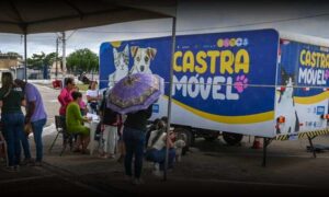 Conquista: Castramóvel realiza atendimentos no bairro Cidade Modelo nesta sexta e sábado. Se programe