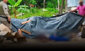 Horror: Homem é encontrado decapitado em terreno, na manhã desta quarta-feira. DPT está no local