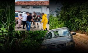 Região da divisa: Homem é encontrado desacordado dentro do carro e morre após ataque de abelhas