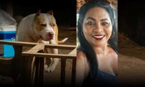 Consternação: Mulher é atacada e morta pelo próprio pitbull, enquanto dava banho nele. Animal foi sacrificado
