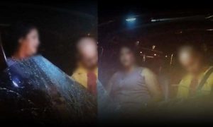 VÍDEO: Imagens mostram violência do acidente entre van e animal na pista na BA-263, perto de Itambé