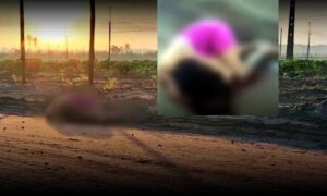 Brutal: Novas informações sobre a mulher encontrada morta, com marcas de tiros, na manhã desta sexta-feira