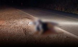Atenção: Corpo com diversas marcas de tiros foi encontrado nesta noite às margens de rodovia da região
